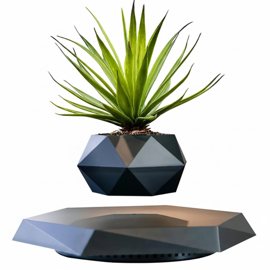 Levitating Plant Pot - White Background